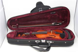 West Coat Strings Instruments Peccard V-8 Violin 1/4